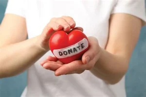 Donación Ejemplo - Image 02 (March 23, 2026)